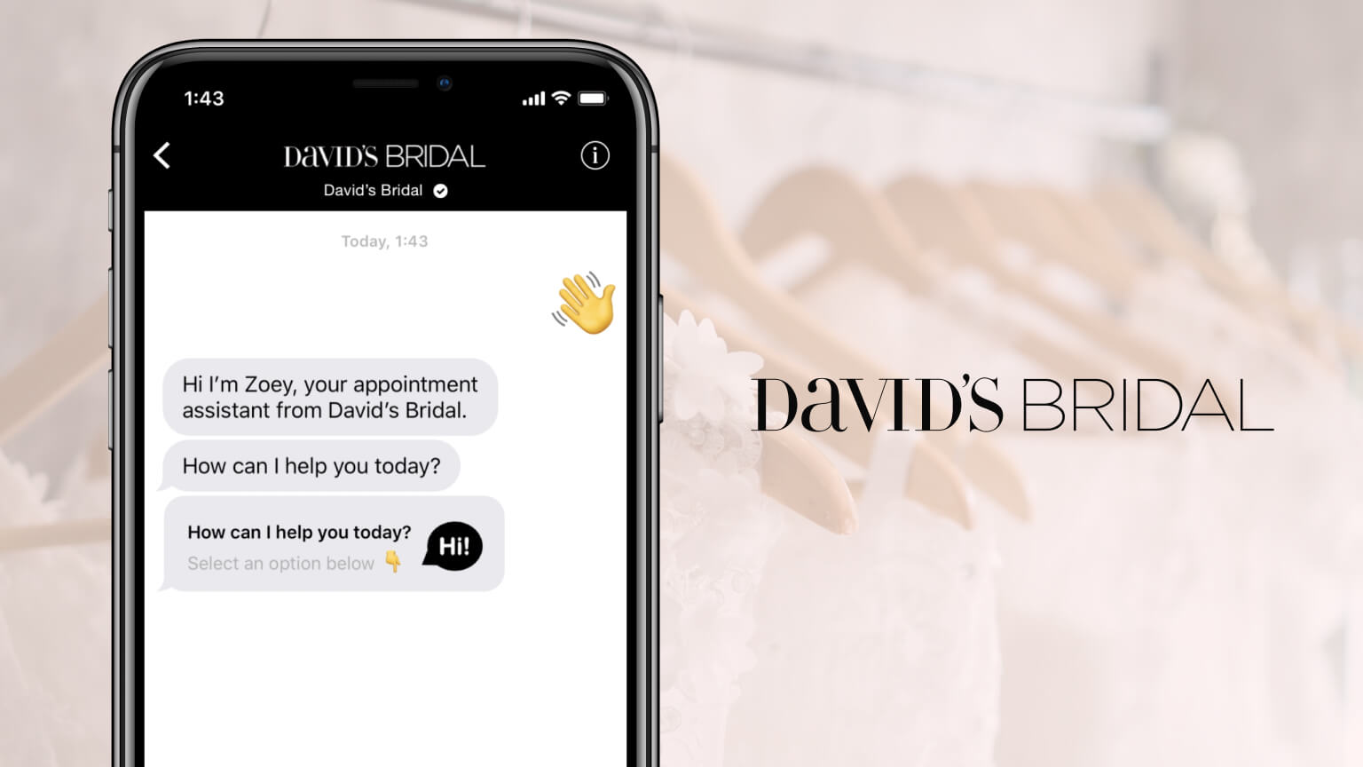 David's Bridal, one of the highlighted LivePerson best chatbot examples