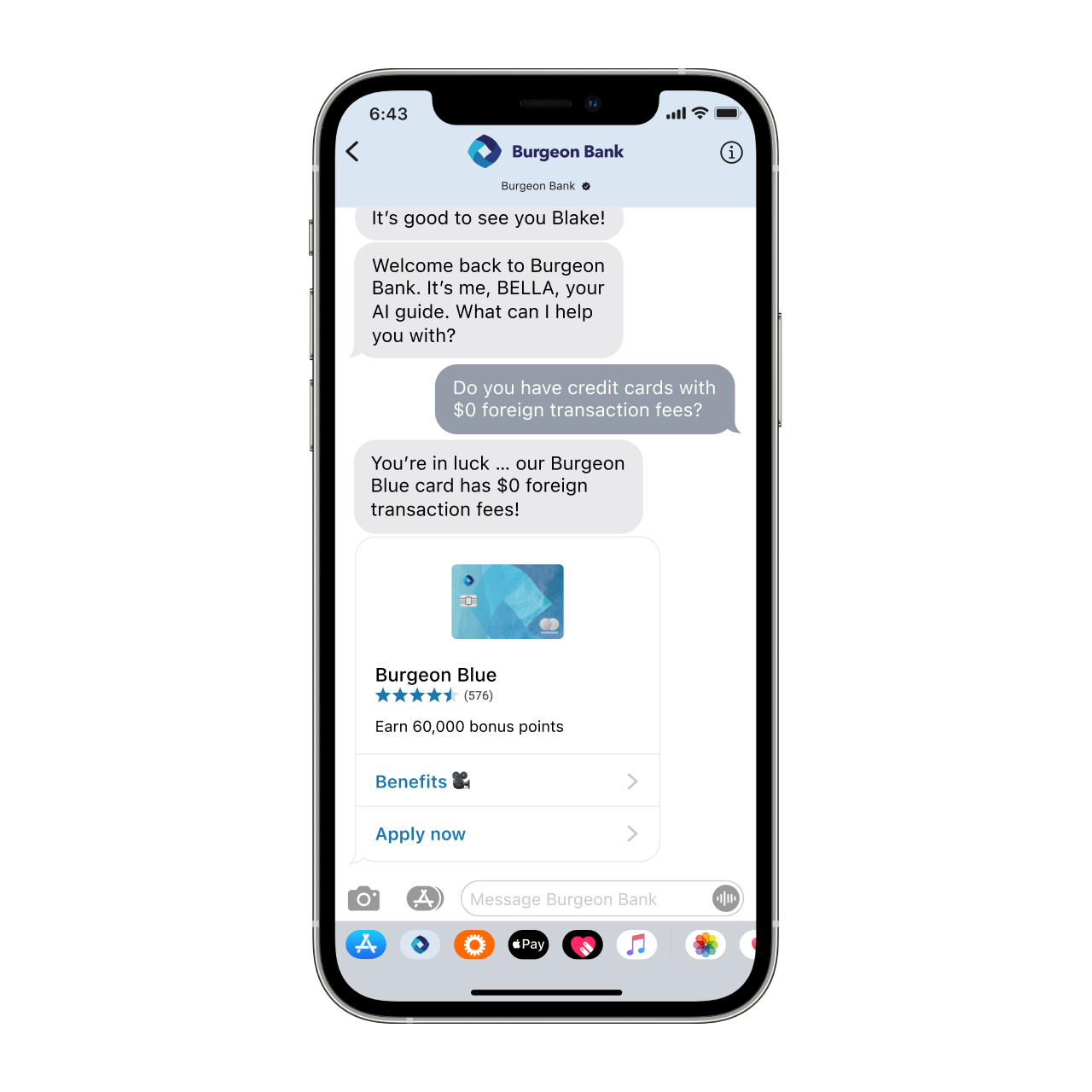 Apple Messages for Business example conversation 