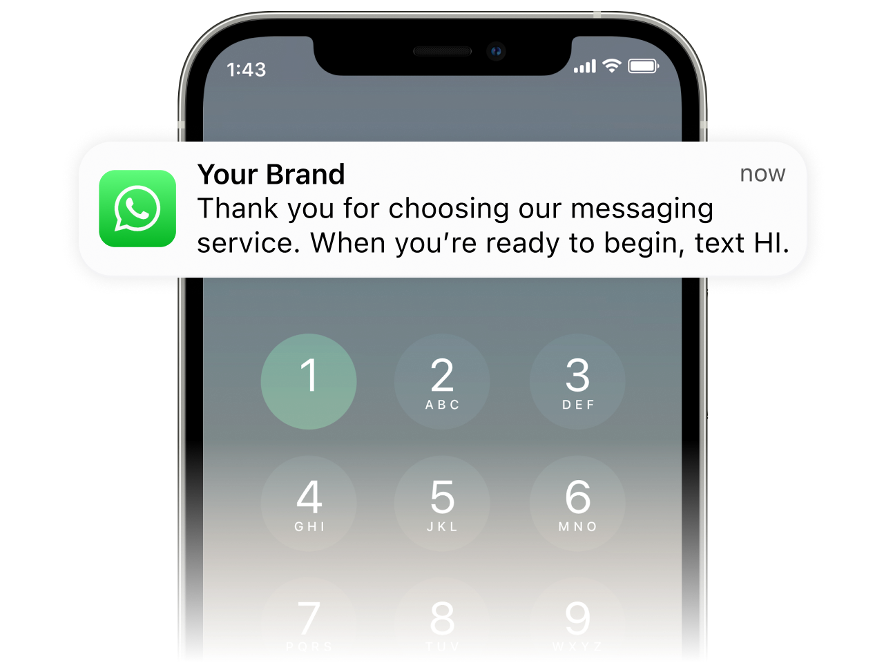 WhatsApp business API enables phone notifications for template messages