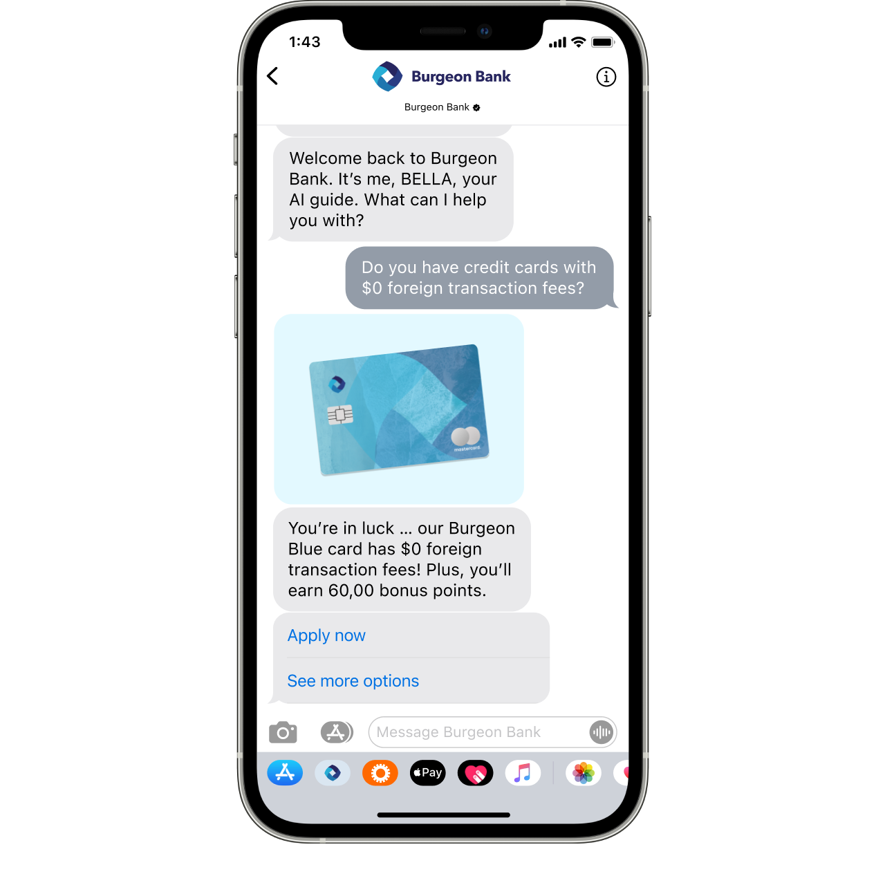 Apple Messages for Business example conversation